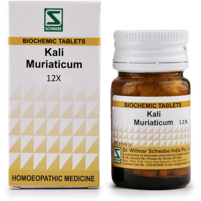 Dr. Willmar Schwabe Kali Muriaticum 12X (20gm)