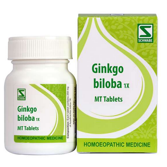 Dr. Willmar Schwabe Ginkgo biloba 1X (20gm)