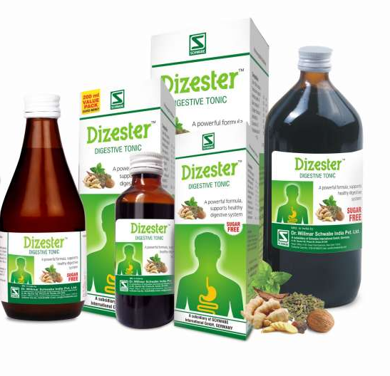 Dr. Willmar Schwabe Dizester (500+500ml)