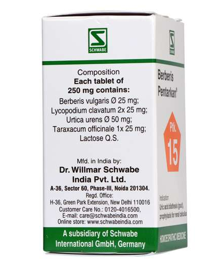 Dr. Willmar Schwabe Berberis Pentarkan (20gm)