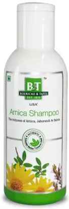 Dr. Willmar Schwabe B&T Arnica Shampoo (150ml)