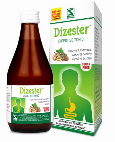 Dr. Willmar Schwabe Dizester (500+500ml)