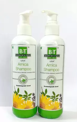 Dr. Willmar Schwabe B&T Arnica Shampoo Pack Of 2 (250+250ml)