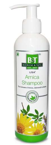 Dr. Willmar Schwabe B&T Arnica Shampoo (250ml)