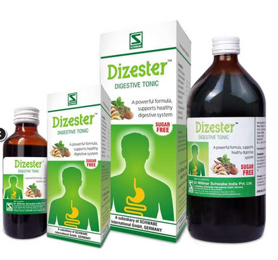 Dr. Willmar Schwabe Dizester (500+500ml)