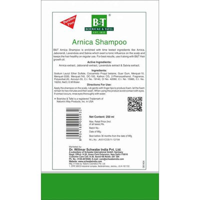 Dr. Willmar Schwabe B&T Arnica Shampoo Pack Of 2 (150+150ml)