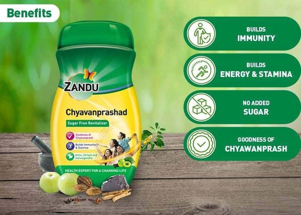 Zandu Chyavanprashad Pack of 2 (450g)