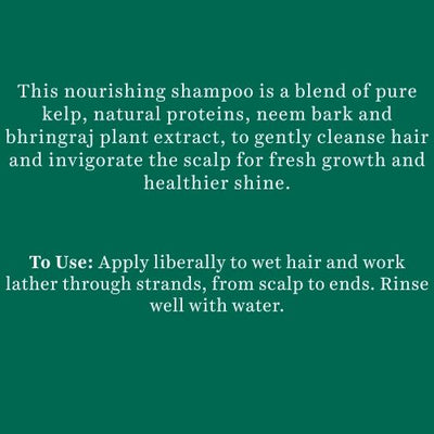 Biotique Bio Kelp Protein Shampoo For Falling Hair (650ml)