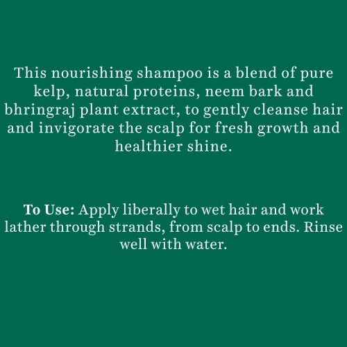 Biotique Bio Kelp Protein Shampoo For Falling Hair (650ml)