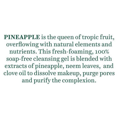 Biotique Bio Pineapple Cleansing Gel (120ml)