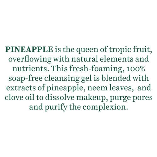 Biotique Bio Pineapple Cleansing Gel (120ml)