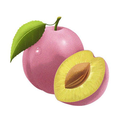 Biotique Bio Himalayan Plum Body Cleanser (150gm)