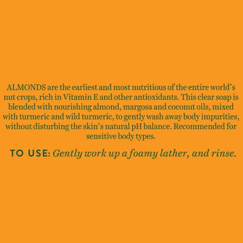 Biotique Bio Almond Oil Body Cleanser (75gm)