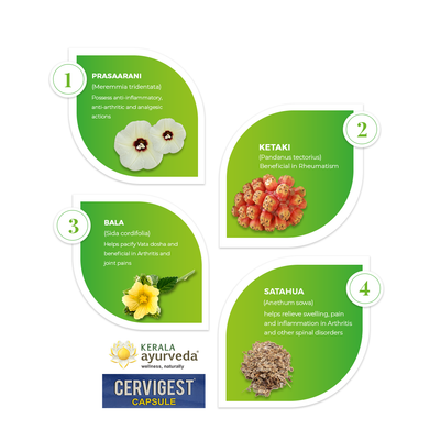 Kerala Ayurveda Cervigest Capsule (10x10 cap)