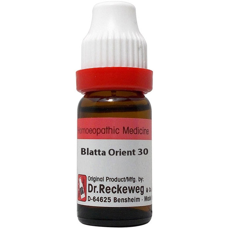 Dr. Reckeweg Blatta Orientalis 30CH 11ml