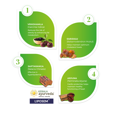 Kerala Ayurveda Liposem Tablet (100 Nos)