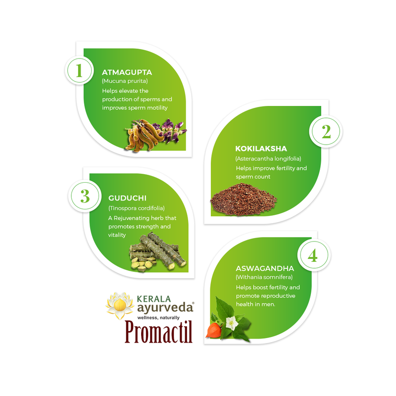 Kerala Ayurveda Promactil Capsule (100 Nos)