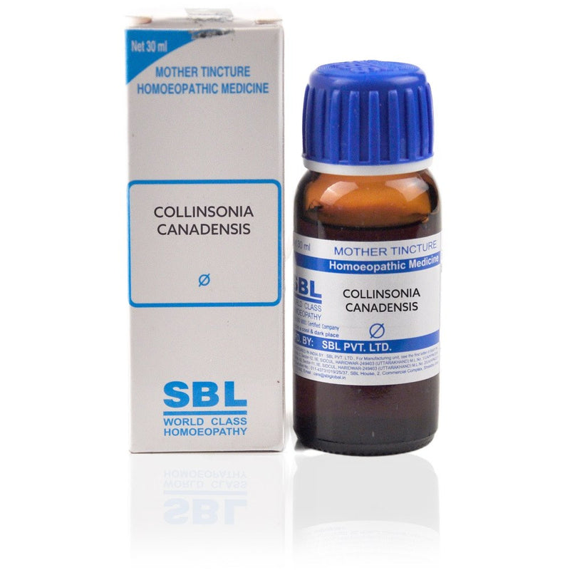 SBL Collinsonia Canadensis Mother Tincture (30ml)