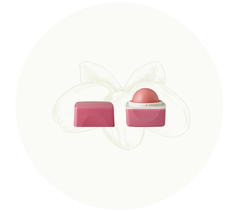 Organic Harvest Lily Lip Balm – Best Tinted Lip Balm (10gm)