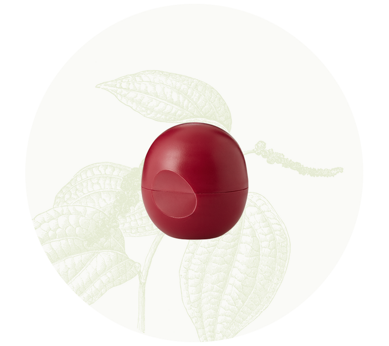 Organic Harvest Pomegranate Lip Balm (8gm)